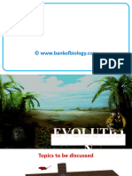 7 Evolution - PPSX