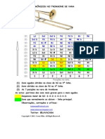 Harmonicos No Trombone de Vara