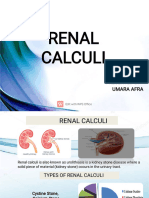 Renal Calculi