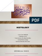 Histology (Epithelial Tissue)