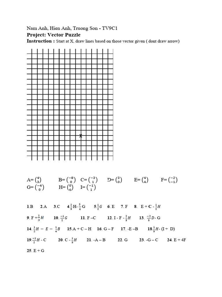 Vector Puzzle Instructions and Solutions | PDF