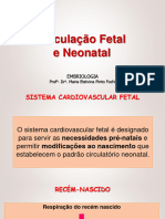 Aula 5 - CirculaÃ Ã o Fetal e Neonatal