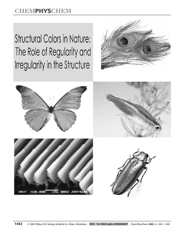 Physics and Biology Collaborate To Color The world2013CBE Life Sciences ...