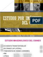 Cerebro 1 PDF