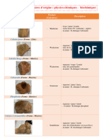 TP Roches Sã©dimentaires D'origine Physico Chimiques Biochimique