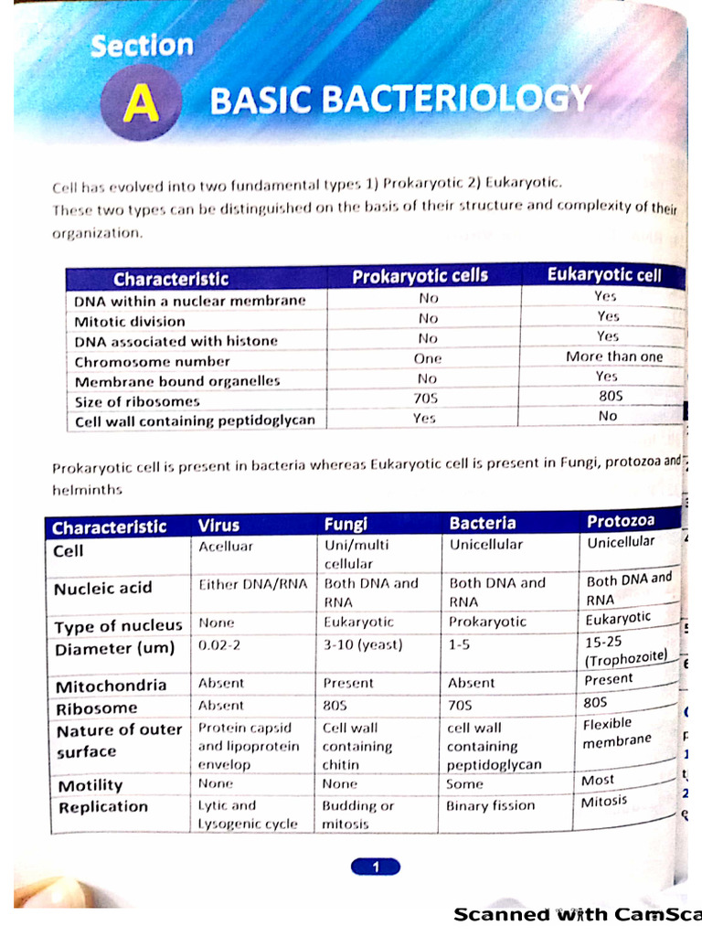 Basic and clinical bacteriology (Instant Microbiology) PDF