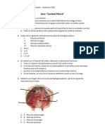 Quiz Cavidad Pelvica PAD