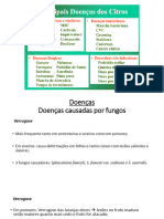 Aula 5 - Doenças Citros