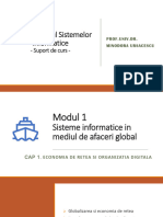 M1 - Cap 1-SI Si Mediul de Afaceri