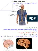 4ـ تنظيم الجهاز العصبي