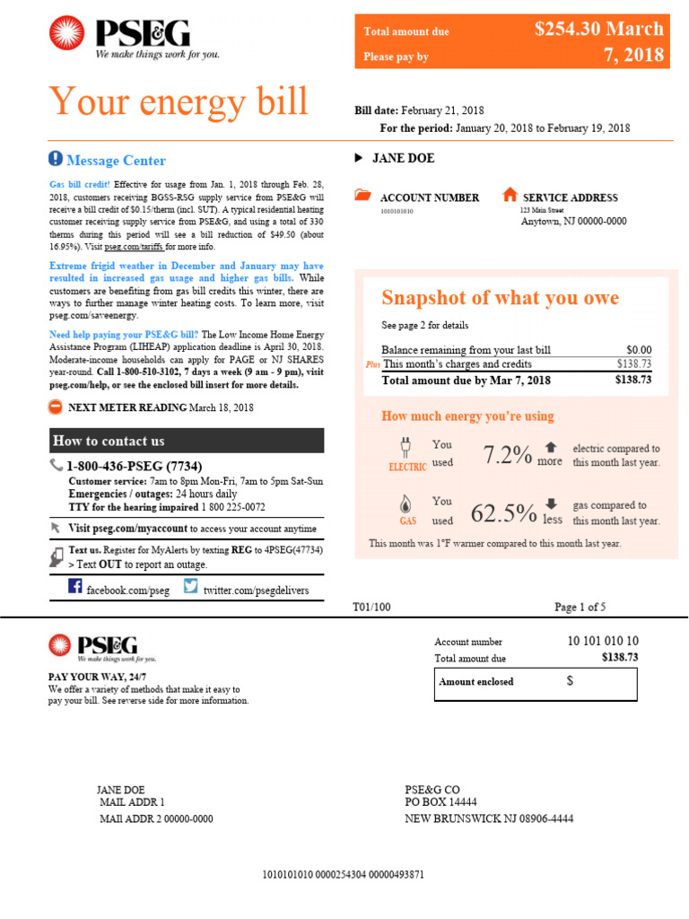 PSEG PDF Cheque Credit Card