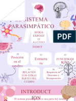 El Sistema Parasimpático