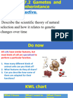 Learning Objective:: Describe The Scientific Theory of Natural Selection and How It Relates To Genetic Changes Over Time