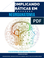 E-Book Atlas Descomplicando As Praticas em Neuroanatomia Para-Colorir