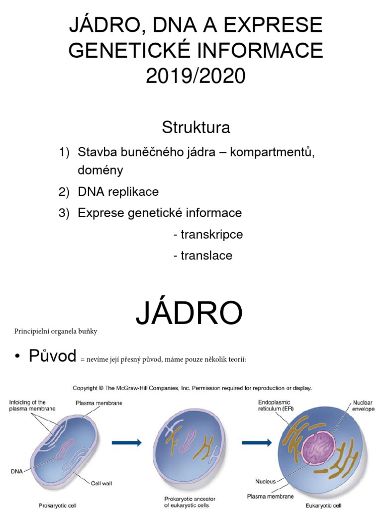 Biology - Nucleus | PDF