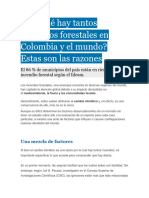 Por Qué Hay Tantos Incendios Forestales en Colombia y El Mundo
