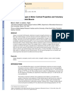 Age Related Changes in Motor Cortical Properties and Voluntary Activation of Skeletal Muscle