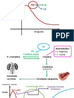 Exemplos Bioquimica