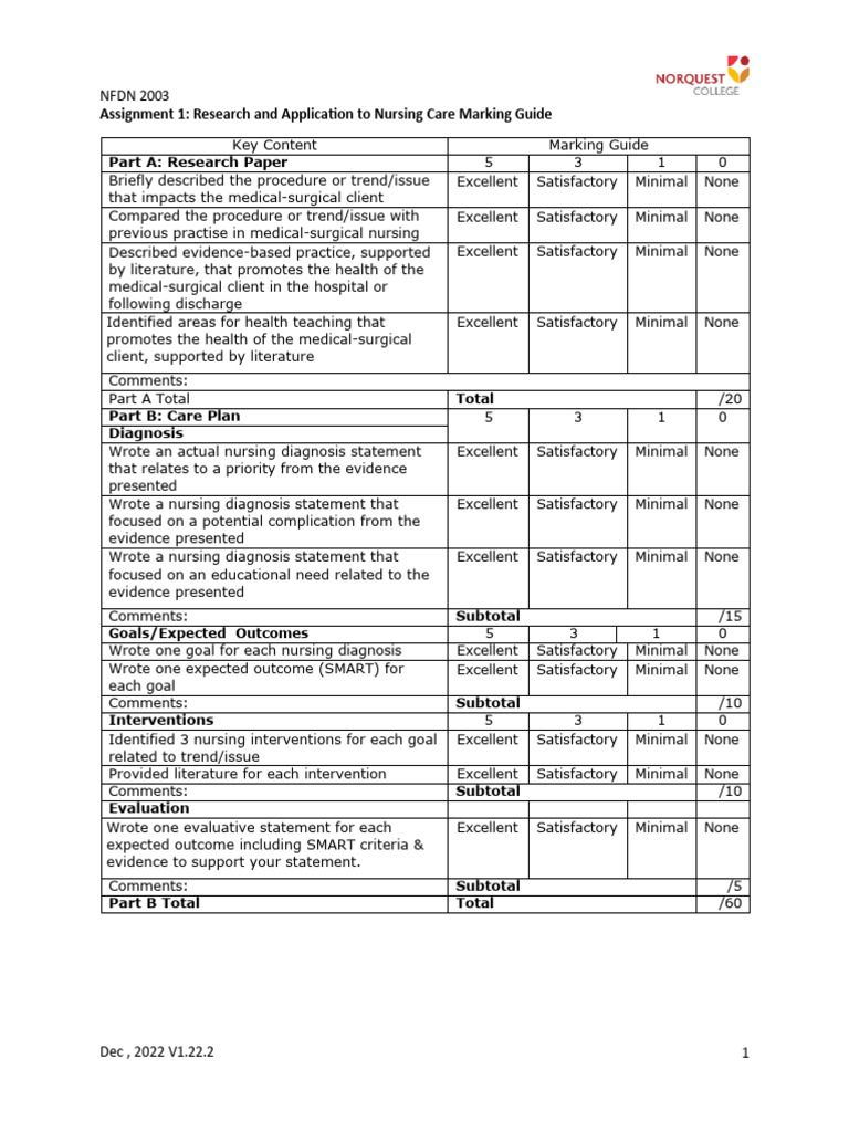 NFDN 2003 Nursing Care Assignment Guide | PDF | Nursing | Apa Style