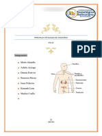 Principales Patologias Del Sistema Endocrino Grupo 8