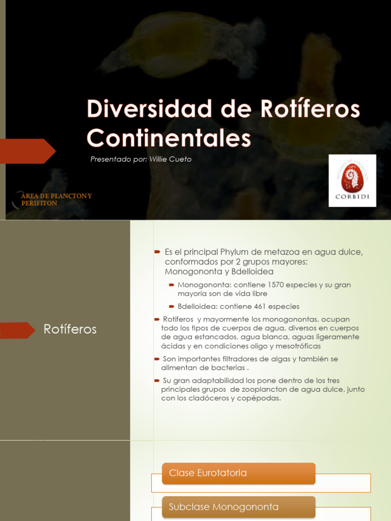 Diversidad de Rotíferos Continentales | PDF | Biología | Taxa