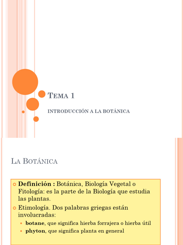 Tema 1 Introduccion Pdf