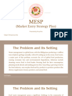 MESP (Market Entry Strategy Plan)