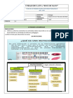 Ficha Las Mutaciones Segundo Inormatica A-B