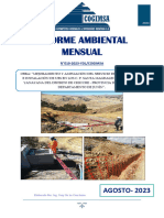 Informe Ambiental Final Agosto