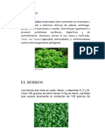 Las Plantas Medicinales