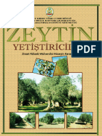 Zeytin Yetistiricligi