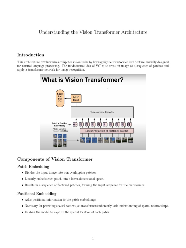 Vision Transformer Understanding | PDF | Computer Vision | Cognition