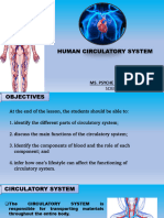 g9 Circulatory System Lesson