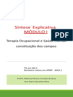 Síntese Explicativa - Mód 1 - TO em SM I 2022.1