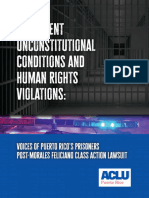 Human Rights Report on Puerto Rico Prisons