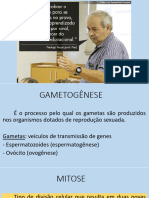 3 - GAMETOGENESE - FECUNDAÇÃO (Salvo Automaticamente)