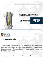 Aula 11 - Sistema Nervoso