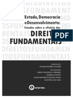E-Book - Estado, Democracia e Desenvolvimento - Direitos Fundamentais