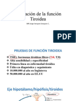 Funcion Tiroidea Valoracion