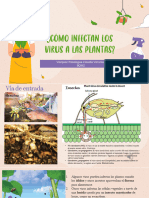 ¿Cómo Infectan Los Virus A Las Plantas?