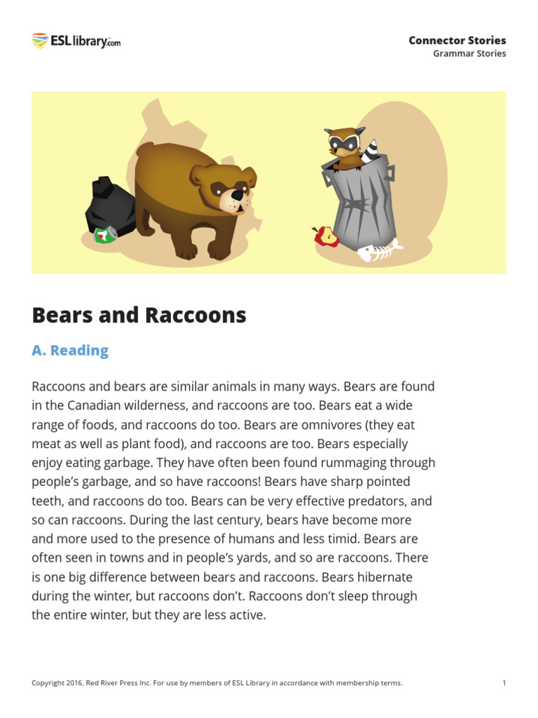 90 connector stories can pdf bears raccoon