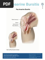 Innominate Rotation: Muscle Energy Techniques | PDF | Anatomical Terms ...
