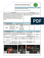 Laporan Pelanggaran Kerja & Investigasi