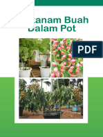 Bertanam Buah Dalam Pot