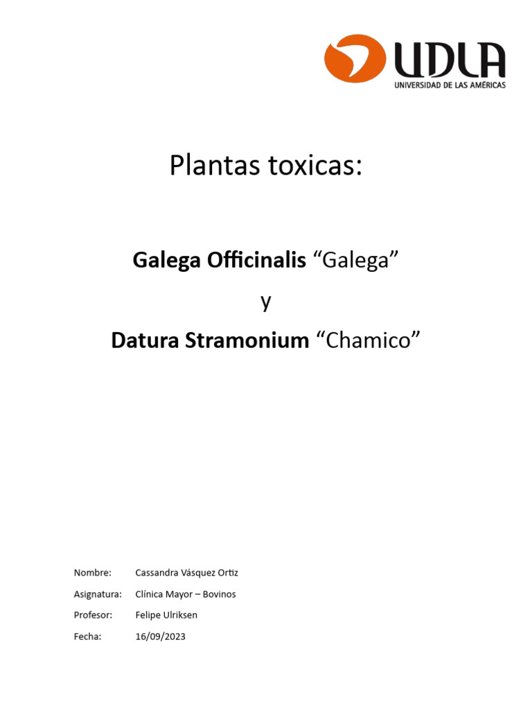 Plantas Toxicas Galega y Chamico Bovinos | PDF | Medicina CLINICA ...