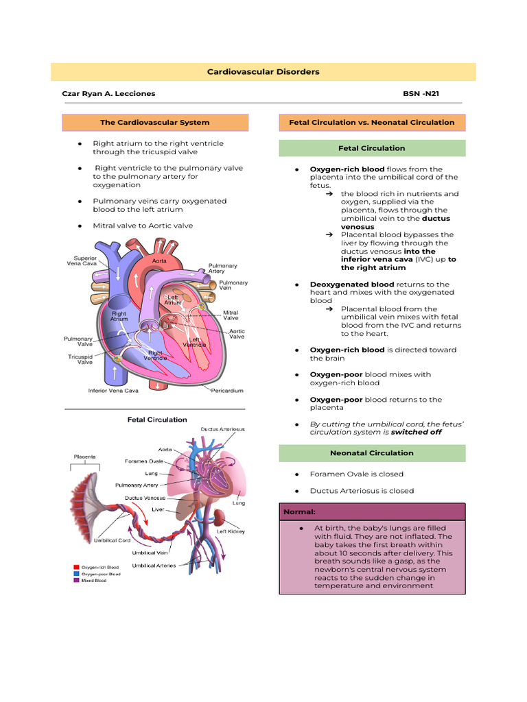 Cardiovascular Disorders | PDF | Heart | Atrium (Heart)