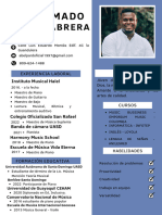 Curriculum Vitae Profesional Minimalista Pastel 