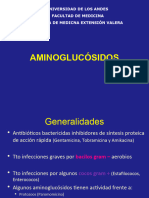 AMINOGLUCÓSIDOS