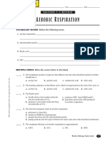 Aerobic Respriration Worksheet