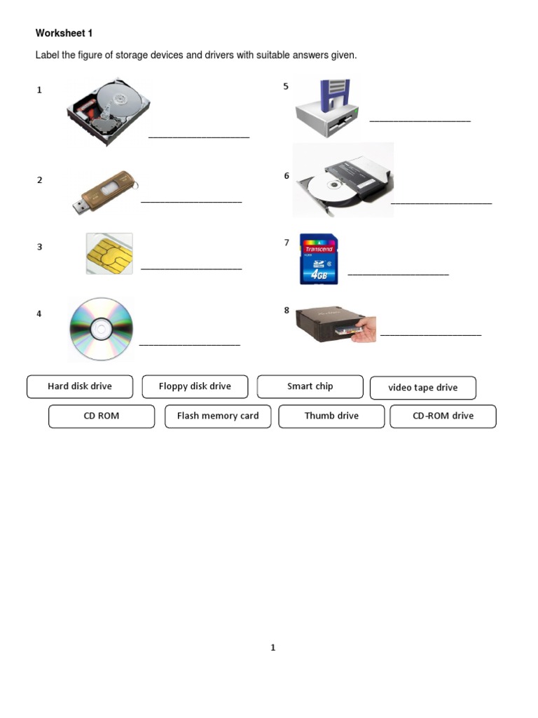 Input, Output, Storage Devices | PDF | Games & Activities | Computers